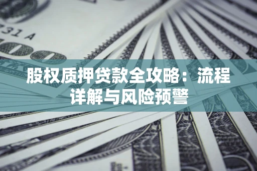 武汉股权质押贷款全攻略：流程详解与风险预警