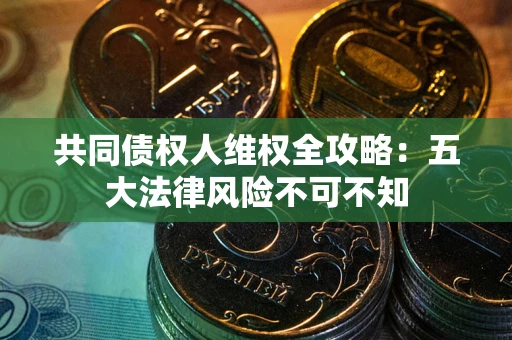 武汉共同债权人维权全攻略：五大法律风险不可不知