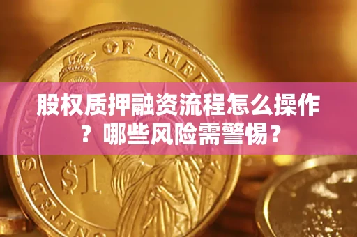 武汉股权质押融资流程怎么操作？哪些风险需警惕？