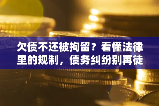 武汉欠债不还被拘留？看懂法律里的规制，债务纠纷别再徒劳奔波