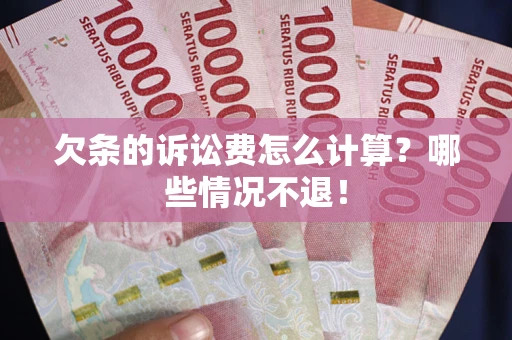 武汉欠条的诉讼费怎么计算？哪些情况不退！