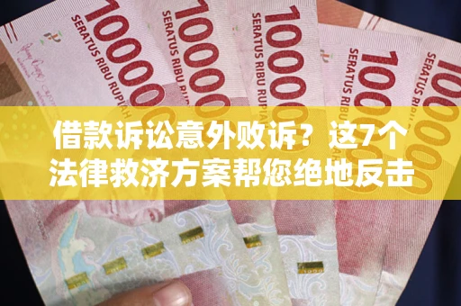 武汉借款诉讼意外败诉？这7个法律救济方案帮您绝地反击！
