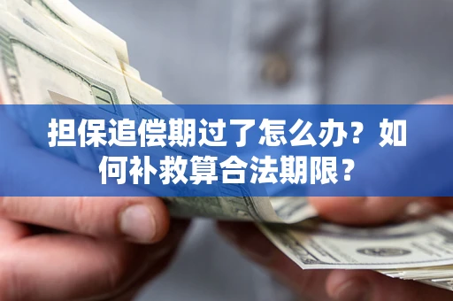 武汉担保追偿期过了怎么办？如何补救算合法期限？