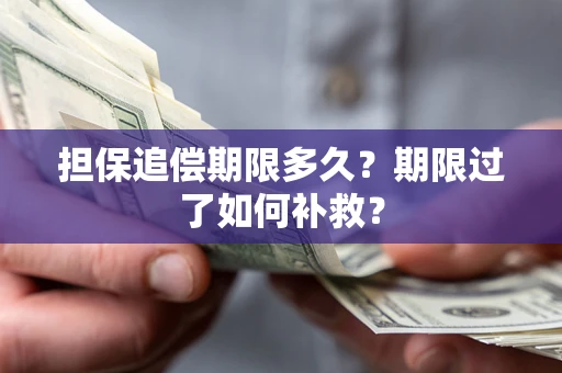 武汉担保追偿期限多久？期限过了如何补救？