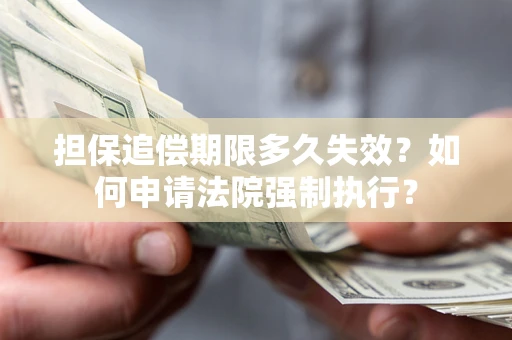 武汉担保追偿期限多久失效？如何申请法院强制执行？