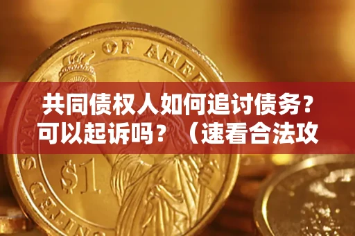 武汉共同债权人如何追讨债务？可以起诉吗？（速看合法攻略）