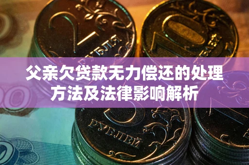 武汉父亲欠贷款无力偿还的处理方法及法律影响解析