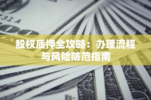 武汉股权质押全攻略：办理流程与风险防范指南