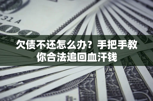 武汉欠债不还怎么办?手把手教你合法追回血汗钱 武汉欠债不还怎么办?手把手教你合法追回血汗钱