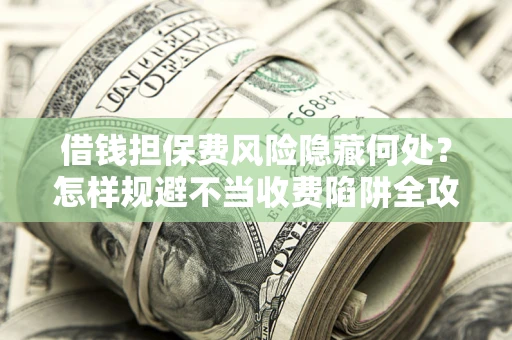 武汉借钱担保费风险隐藏何处？怎样规避不当收费陷阱全攻略！