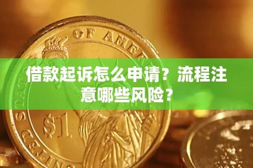 武汉借款起诉怎么申请？流程注意哪些风险？