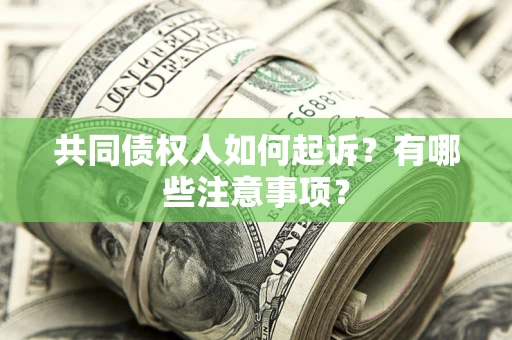 武汉共同债权人如何起诉？有哪些注意事项？